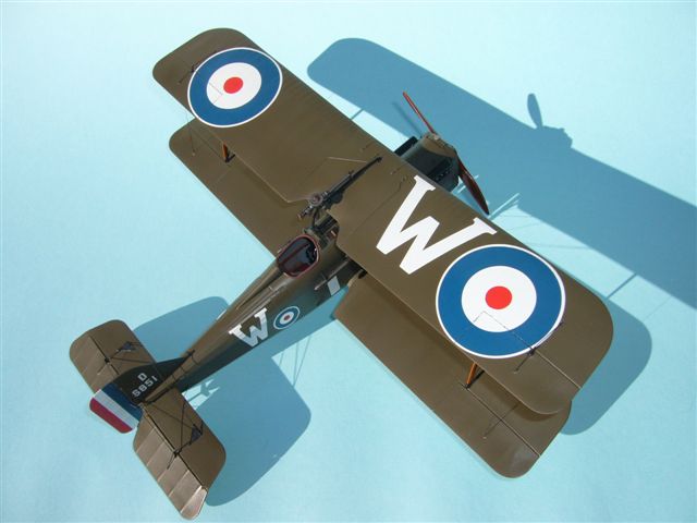 Michael Woodgate, Australia